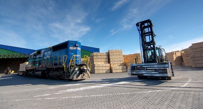 Regional Economic Report Highlights the Weight of the Forestry Sector in the Biobío Economy