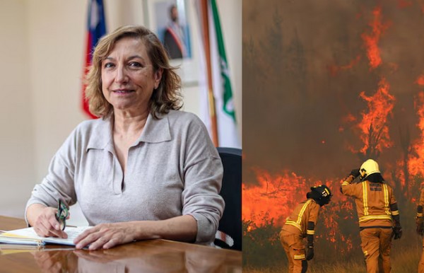 Conaf's Reorganization Ahead of a New Wildfire Season