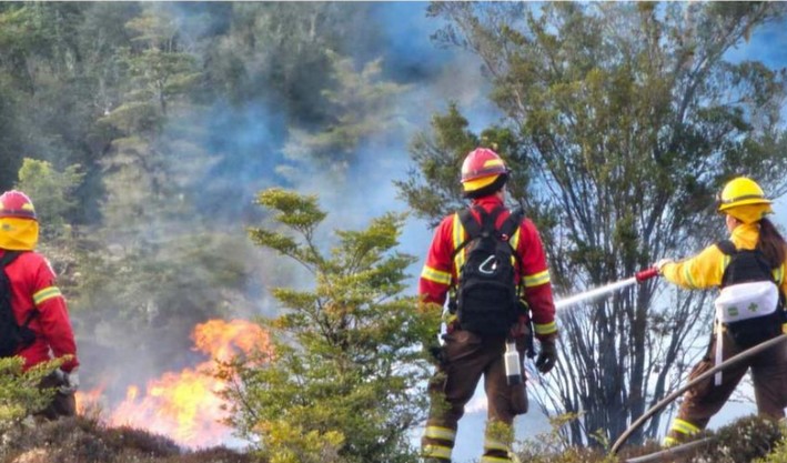 Conaf Aims to Form Up to 8 Brigades to Tackle Forest Fires in Chiloé