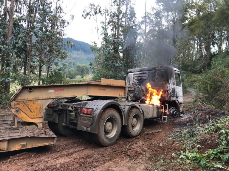 Os lamentáveis números do governo de Sebastián Piñera para os contratantes florestais