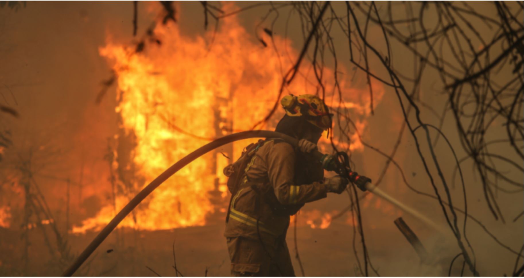 Bío Bío: Ministério Público confirma responsabilidade de empresas elétricas em incêndios florestais