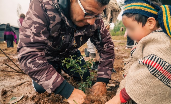 Organizations in Biobío Collaborate for the Regeneration of Native Forests
