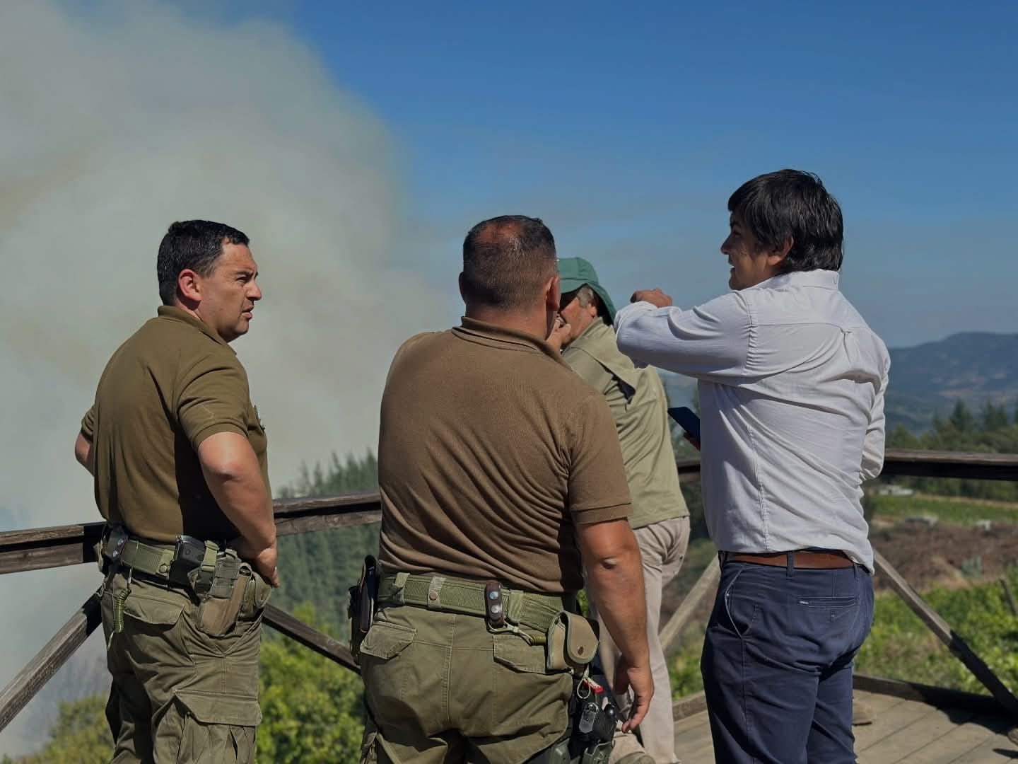 Fires in Ñuble Leave Over 1,000 Hectares Devastated