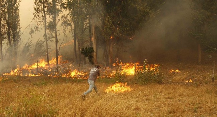 New Minister of Agriculture Confirms Urgency for Expedited Processing of Forest Fire Prevention Law