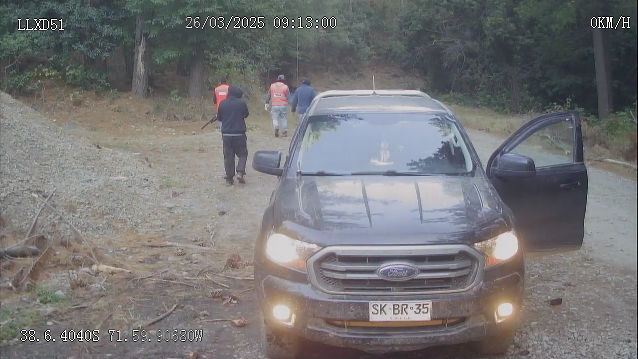 Forestry Contractors Demand Real Action from the State Following New Armed Attack in La Araucanía