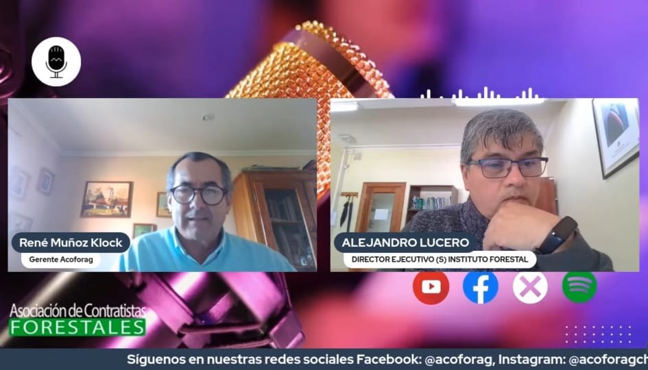 Diretor Executivo substituto do Instituto Florestal explica como funciona a Agrofloresta em Conversando com a Acoforag