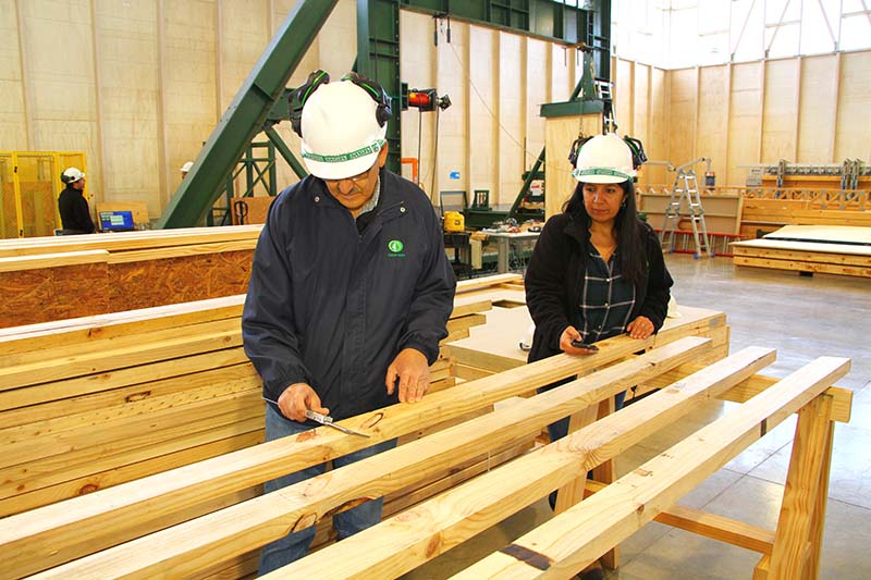 INFOR Supports the Production of Standardized and Labeled Sawn Timber