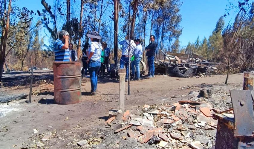 Biobío é a região com mais agricultores afetados pelos incêndios florestais