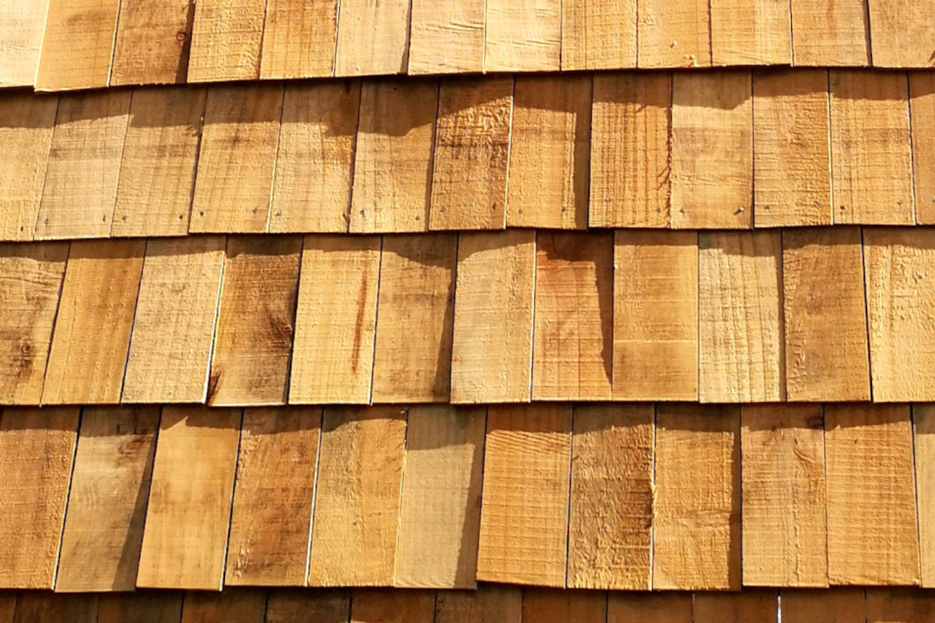 Entrepreneurs add value to impregnated pine shingles in southern Chile