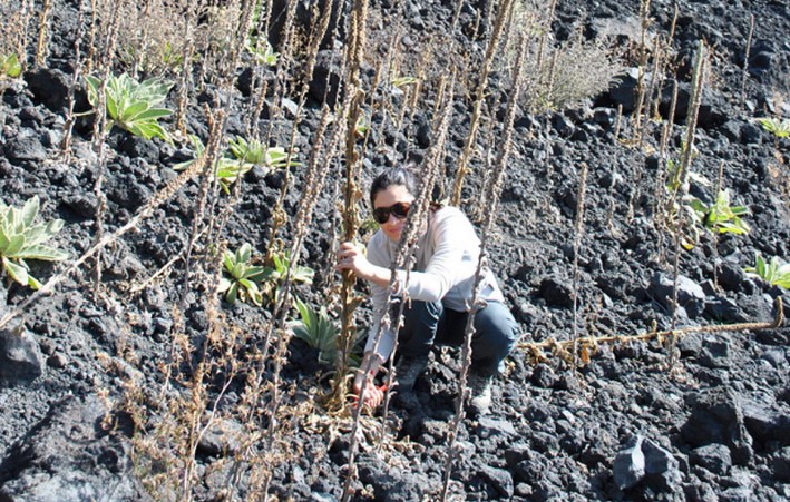 UdeC Scientists Participate in the Largest Global Study on Invasive Alien Species