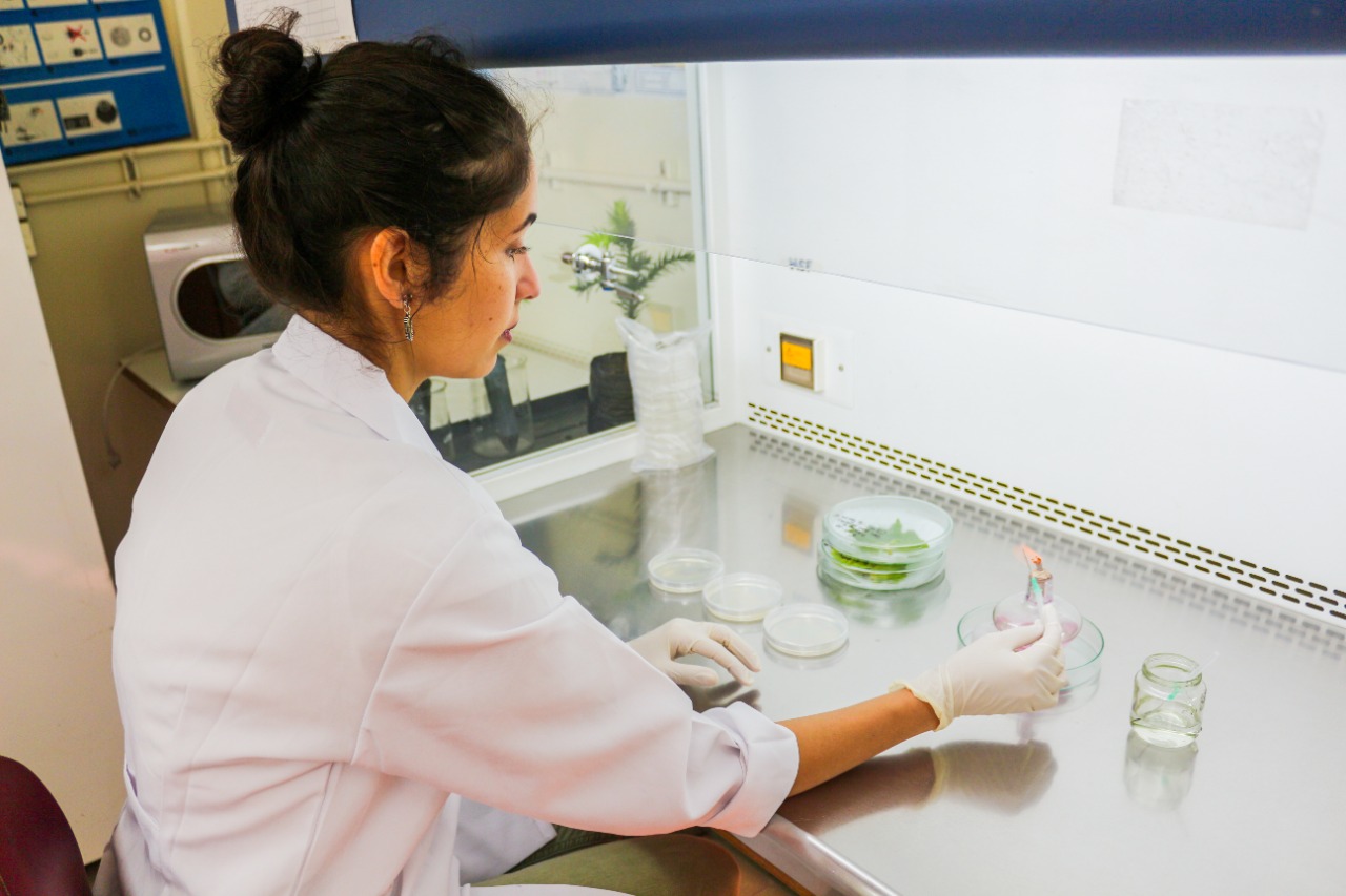 O conhecimento como base do crescimento