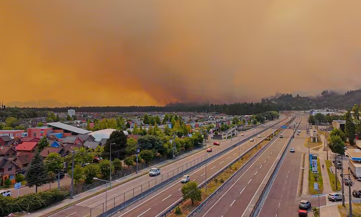 Manager of Acoforag: "Forests don't burn by themselves, there is always someone's action"