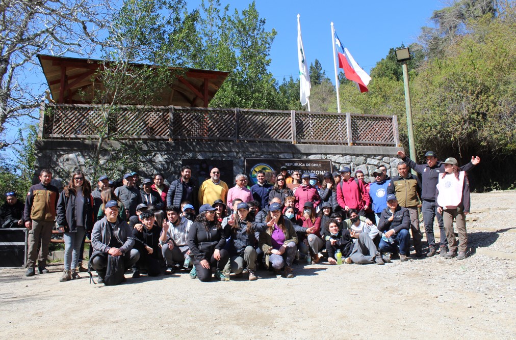 Over 48,000 Native Trees Allow Reforestation of Nonguén National Park