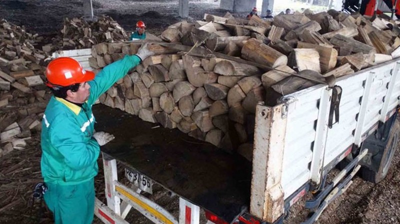 Working on Drafting Regulations for the Use and Oversight of Dry Firewood