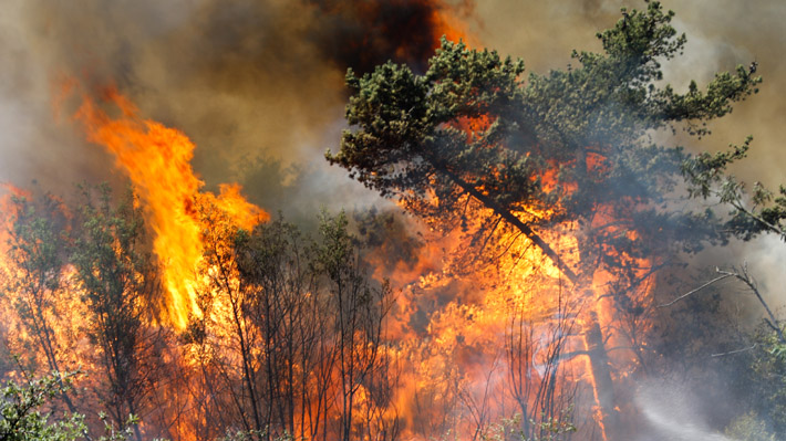 Executive describes wildfire season as "acceptable," but seeks to discuss prevention project