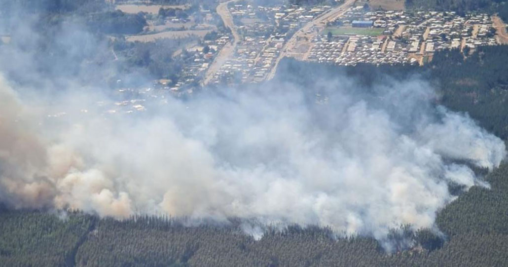 The Criminal Prosecution of Intentional Wildfires and Their Potential Link to Subsequent Crimes