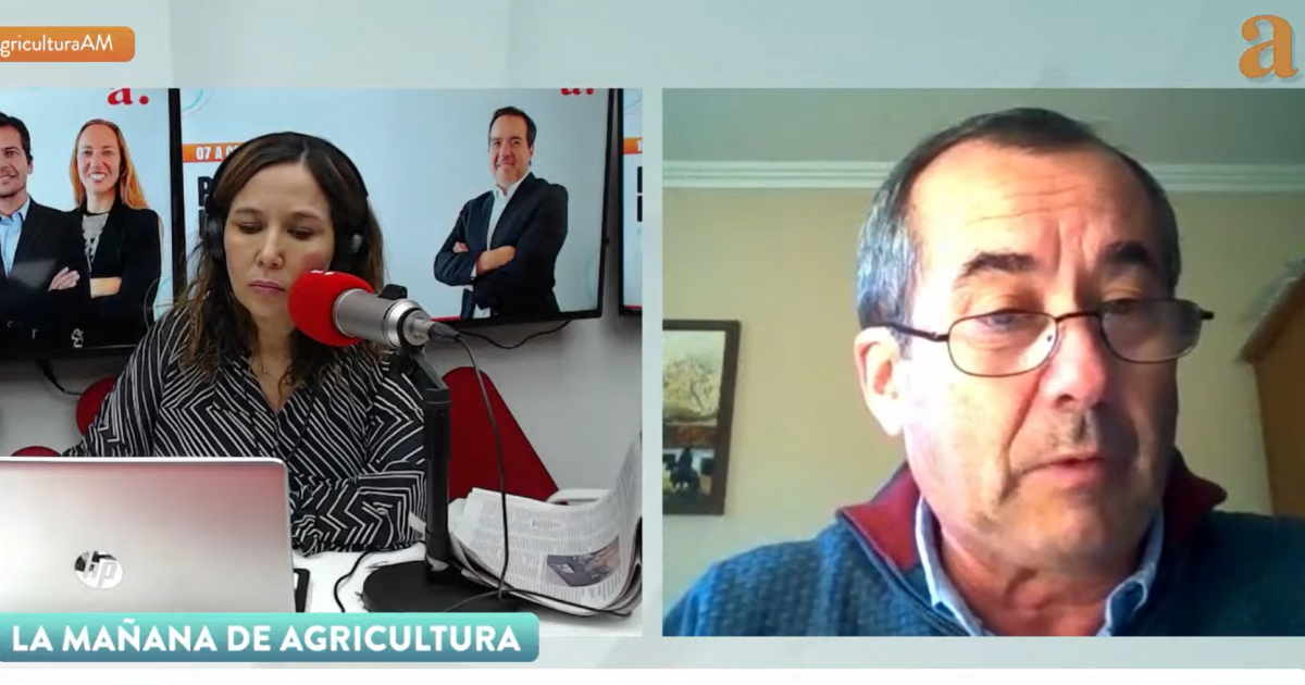 Associação de Contratantes Florestais: “O acordo não foi cumprido, é um Estado de Exceção de 50% do que pedimos”