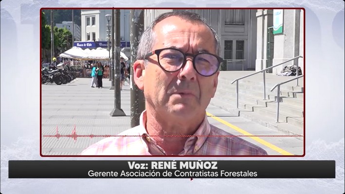 Ley de Reparación a Víctimas de la Violencia: Contratistas Forestales esperan que tenga carácter retroactivo