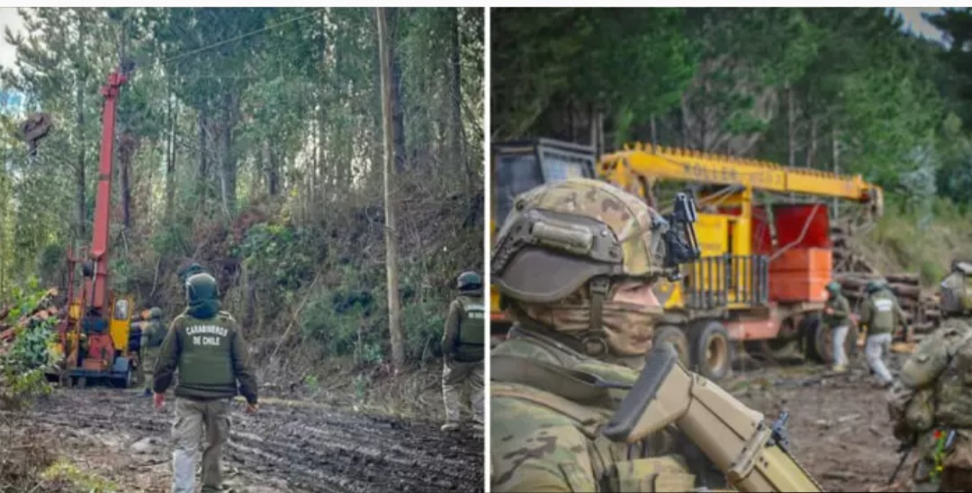 Apreendem mais de US$ 150 milhões em equipamentos usados em extração ilegal de madeira entre Cañete e Contulmo