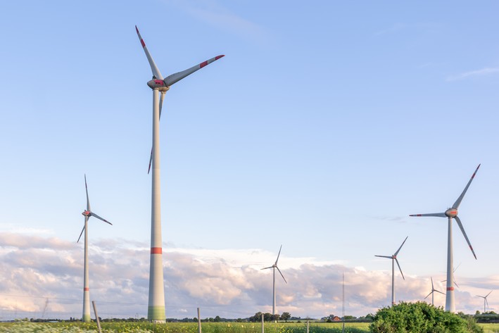 Tulipanes Wind Farm: Arauco Drives the Renewable Revolution