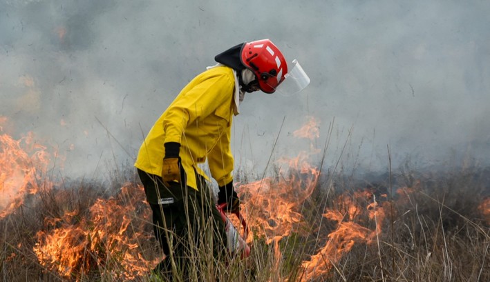 Forest Fires: 4 People Arrested for Alleged Responsibility in Different Outbreaks