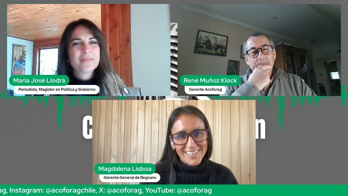 Magdalena Lisboa: The Forestry Engineer Leading a Unique Global Project from Arauco