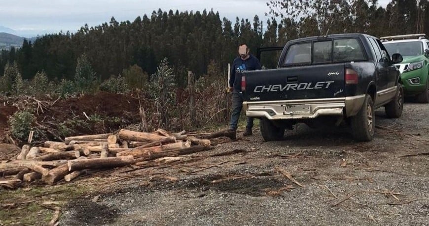 5 personas fueron detenidas por robo de madera en La Unión