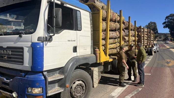 SII Intensifies Oversight in Timber Transportation to Combat Theft