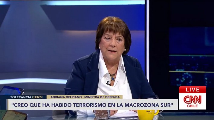 Minister Delpiano: "I would not classify CAM as a terrorist organization"