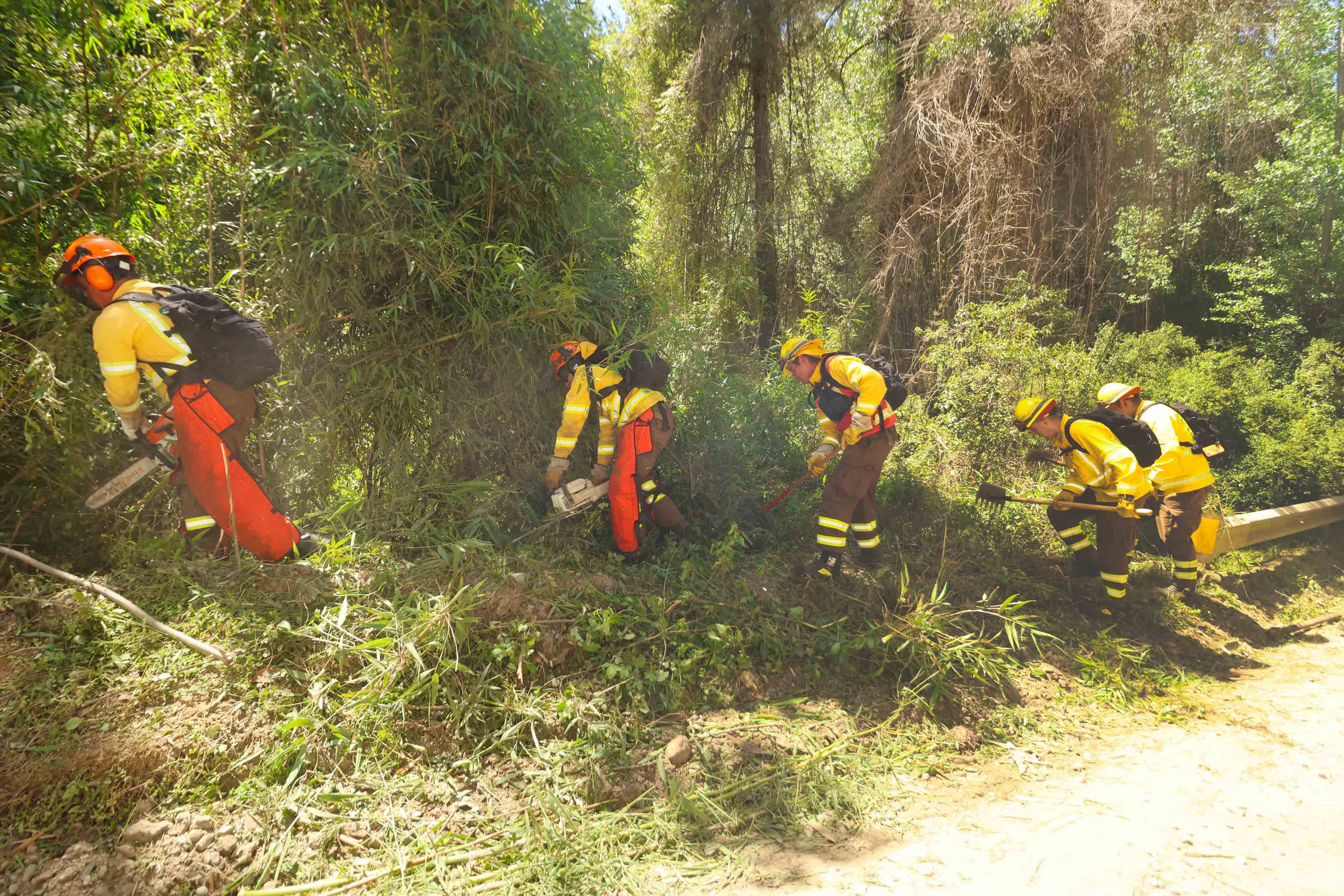 Three Biobío Municipalities Still Lack Emergency Plans on the Brink of Wildfire Season