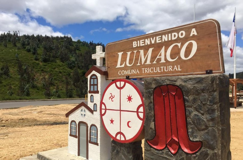 70% of the Local Economy Depends on the Forestry Industry