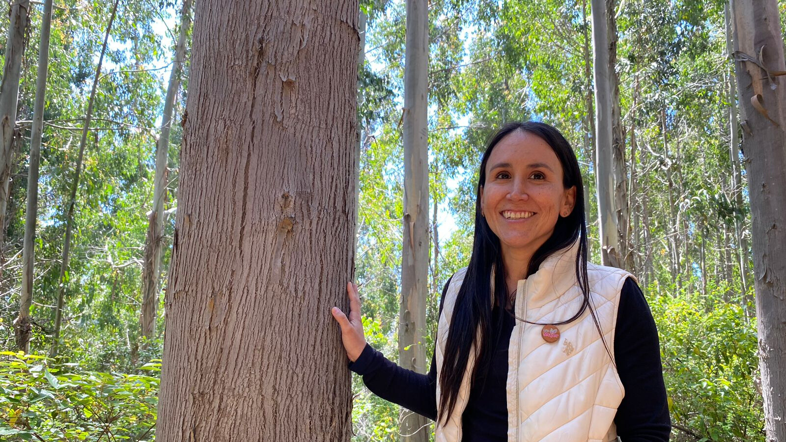 Magdalena Lisboa: The Woman Leading the Only Industrial Cultivation of Eucalyptus Regnans in Chile