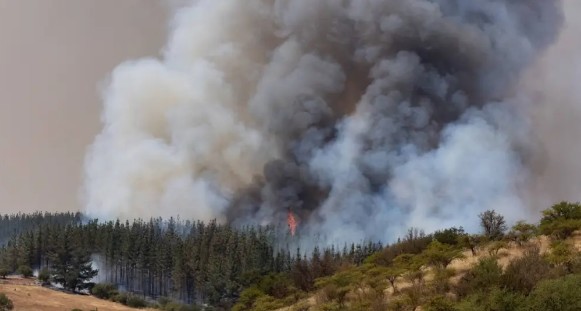 Gremio florestal chamou para agir de forma coordenada na próxima temporada de incêndios