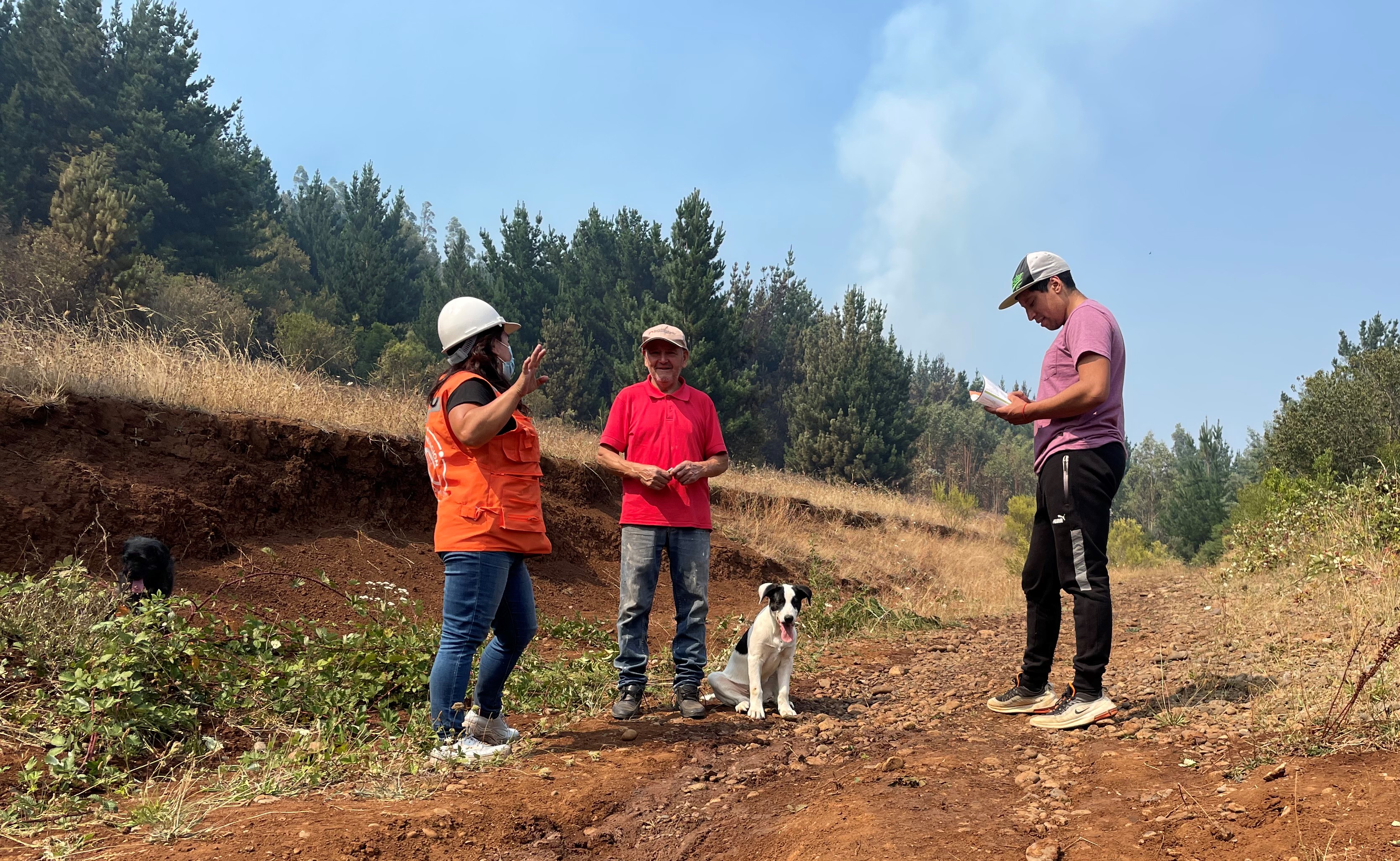 Vizinhos organizados para a prevenção de incêndios