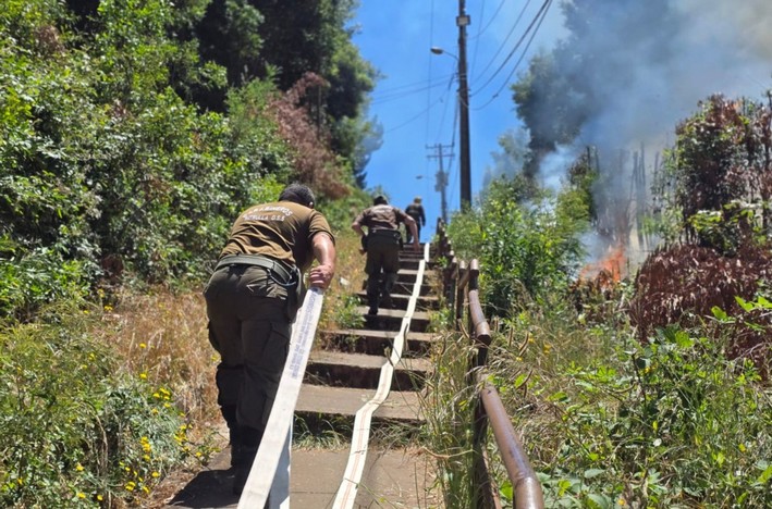 Penco Announces Lawsuit Over Forest Fires Following Emergency Cogrid Meeting