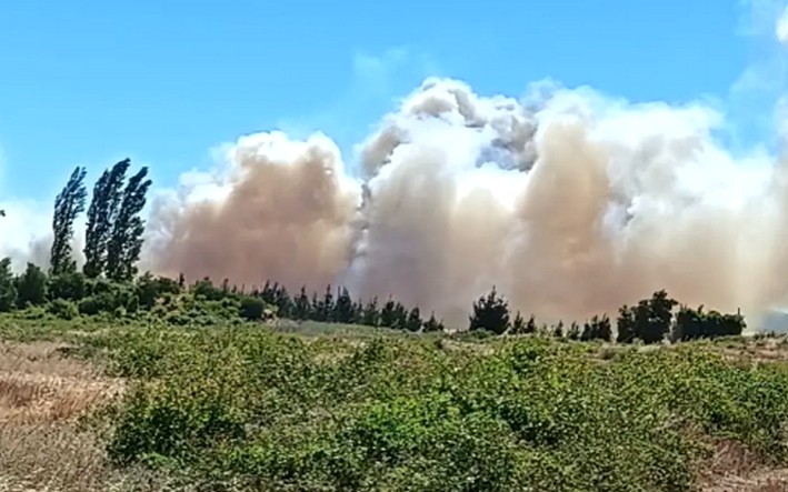 Biobío Province Reaches 100 Wildfires Marked by Negligence and Intentionality