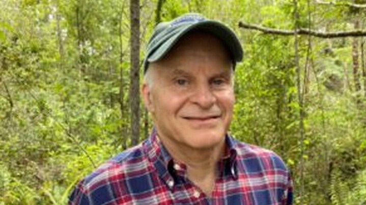 Association of Forestry Engineers Urgently Calls for Forest Promotion in Chile