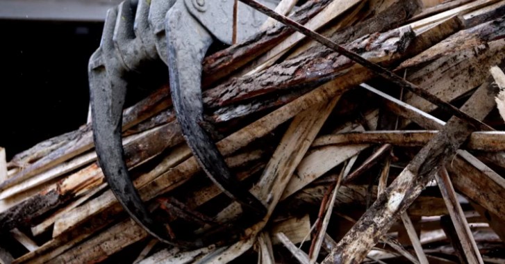 Sindicato florestal afirma que há madeira não processada porque florestas estão "capturadas" em zona vermelha