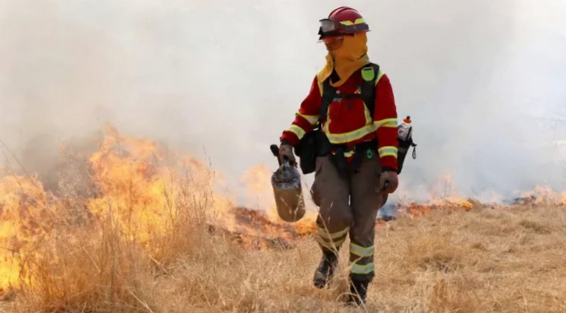 National Forest Service Replaces Conaf Amid Rising Wildfire Scenario