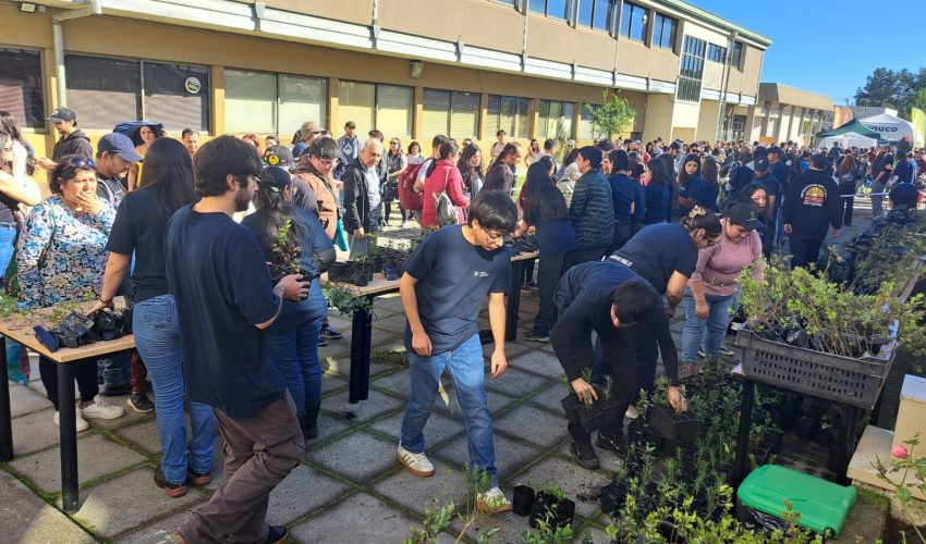 UdeC Celebrates Forestry Engineer Day with Delivery of 8,000 Native Trees on Initiative's 14th Anniversary