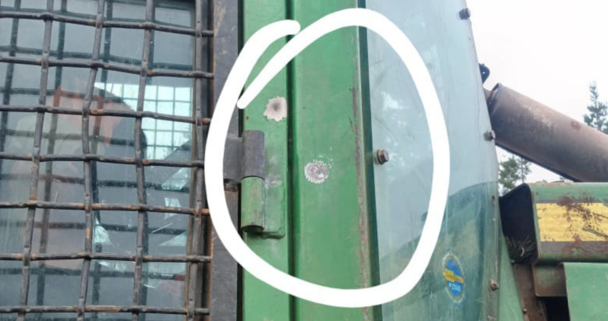 Contratantes florestais relatam ataque a tiros em obra em Los Álamos: trabalhador conseguiu escapar