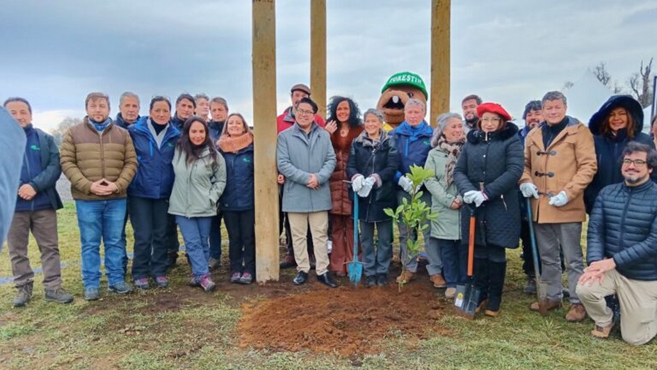 Los Lagos Region to Have the First Regional Native Species Nursery for Reforestation