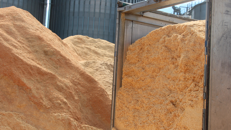 Platform Developed by INFOR Aims to Inform About Pellet Quality in Chile
