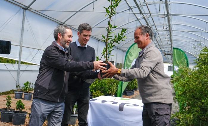 Agreement between CMPC and the National Botanical Garden Aims to Protect Species at Risk