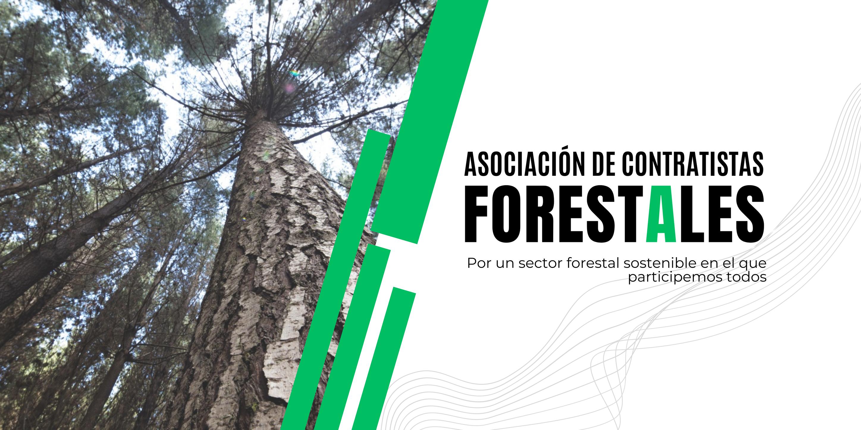 Forestry Contractors Demand Greater State Control Over External Violence