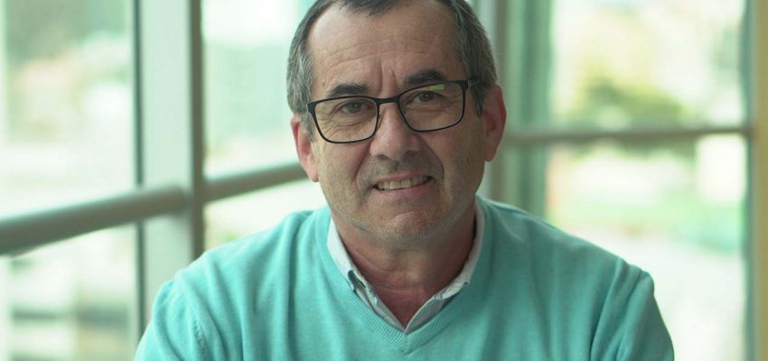 Local Development and a New Perspective on the Forestry Sector