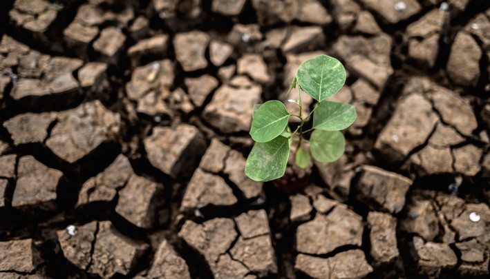 Only 3.8%: The Scarce Water Availability in the Biobío Region