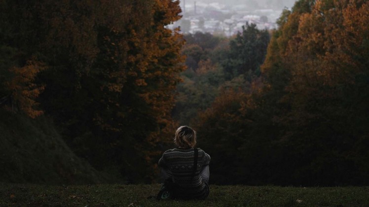 Over 70% of Chile's Native Forest is on Private Land: Challenges and Opportunities for Conservation