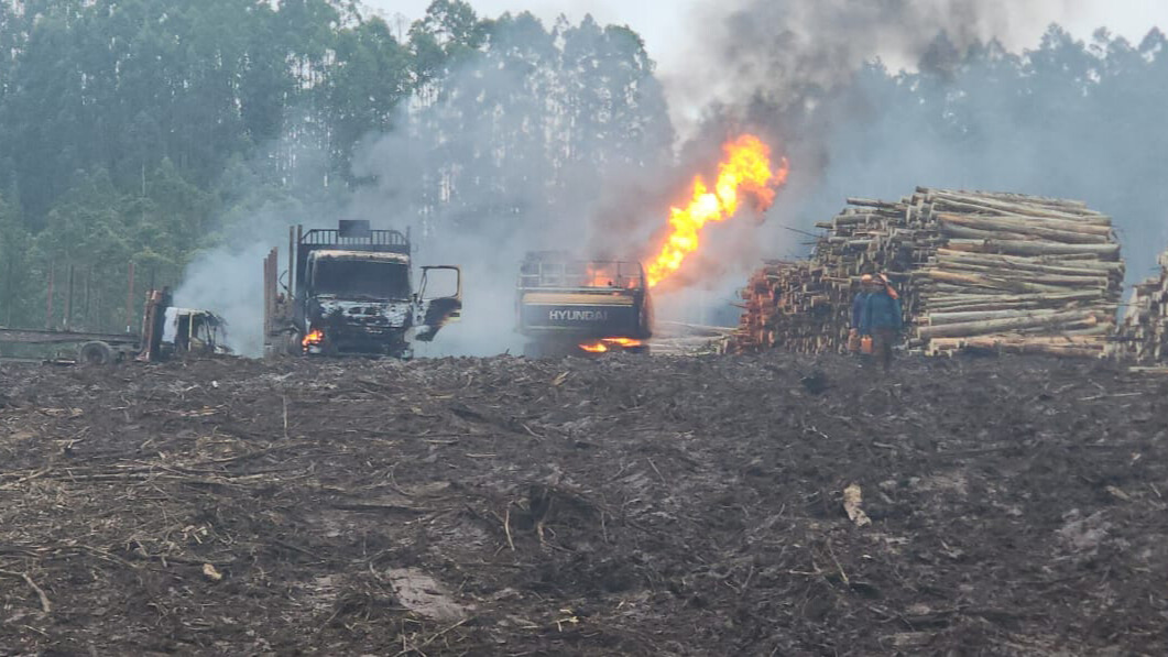 The Fear Amid Fire and Weapons That Leaves Scars on Forestry Workers After an Attack