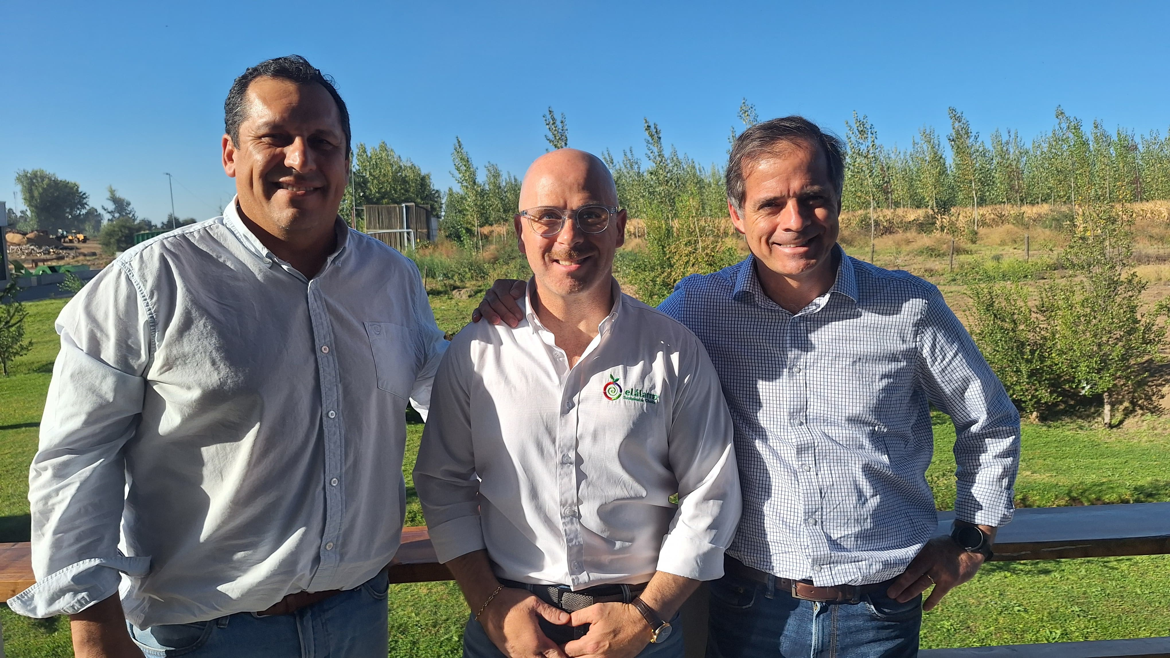 Grupo Fósforo with a Century of Tradition, Innovation, and Sustainability